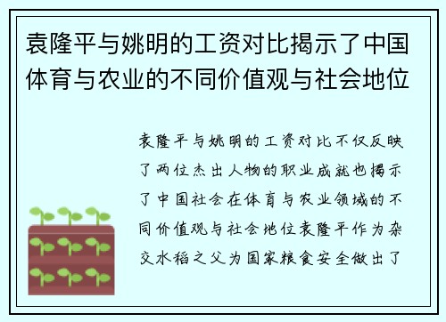 袁隆平与姚明的工资对比揭示了中国体育与农业的不同价值观与社会地位