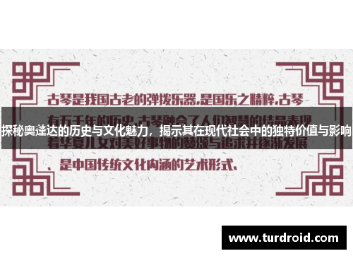 探秘奥蓬达的历史与文化魅力，揭示其在现代社会中的独特价值与影响